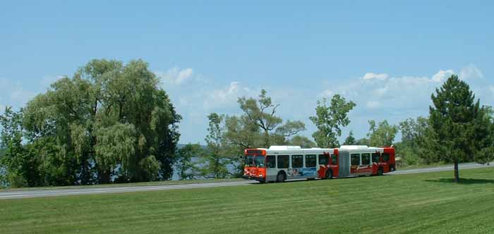 OC Transpo New Flyer D60LF articulated bus 61344 on the busway